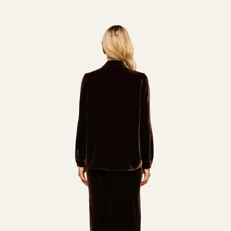 Argo Velvet Blouse