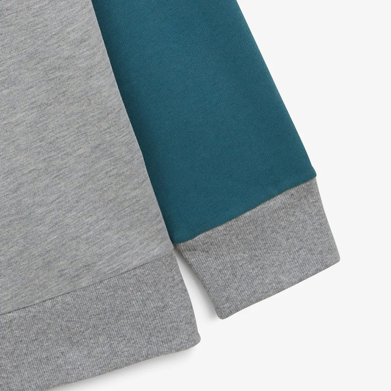 Sweat molleton col rond WE LOVE SERGE gris en coton