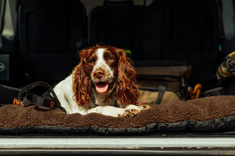 Dog Mat 70x100 cm Accessory