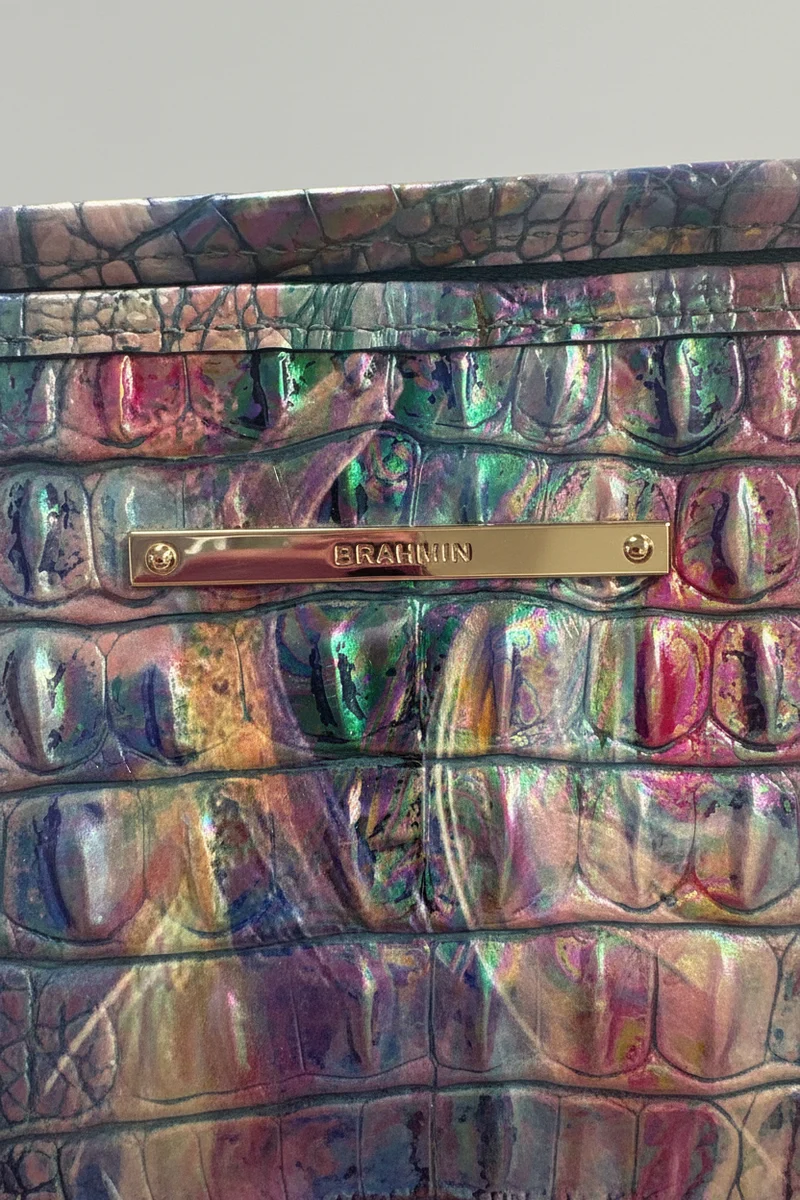 Medium Asher (Chromatic) Brahmin Purse V# 9177