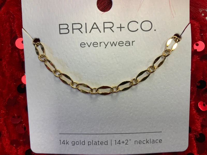 Briar+Co Gold Mirror Oval Chain Necklace