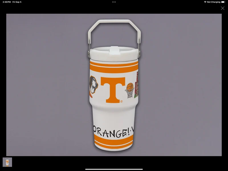 Tennessee Flip 20oz Tumbler
