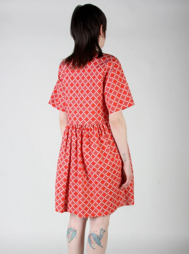BIRDS OF NORTH AMERICA Robe Citril Finch - Red Patches