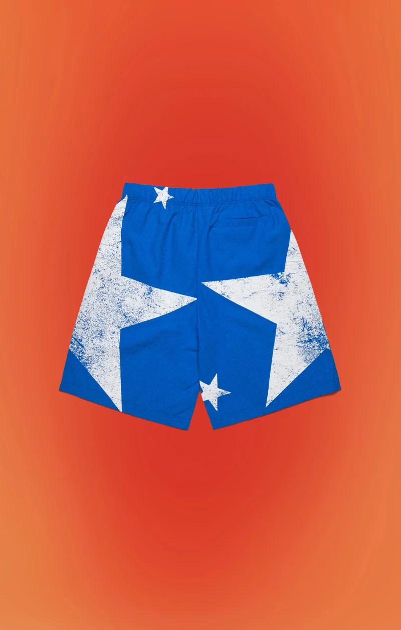 Unisex Bermuda Shorts PDF X Champion